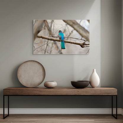Citrine Trogon | Canvas Print