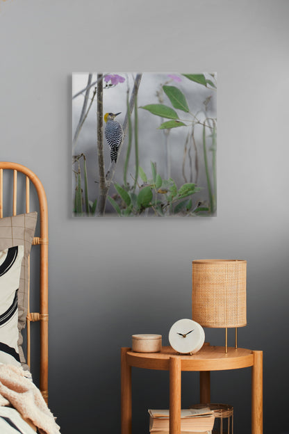 Golden Cheek | Canvas Print