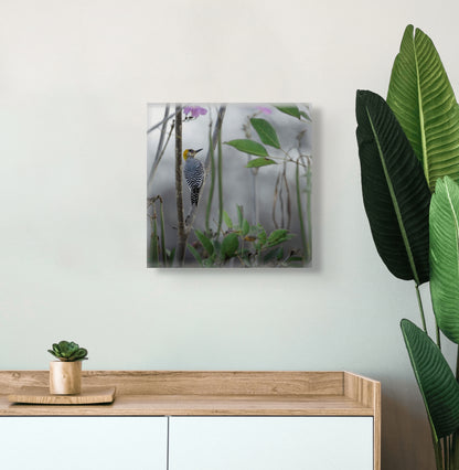 Golden Cheek | Canvas Print