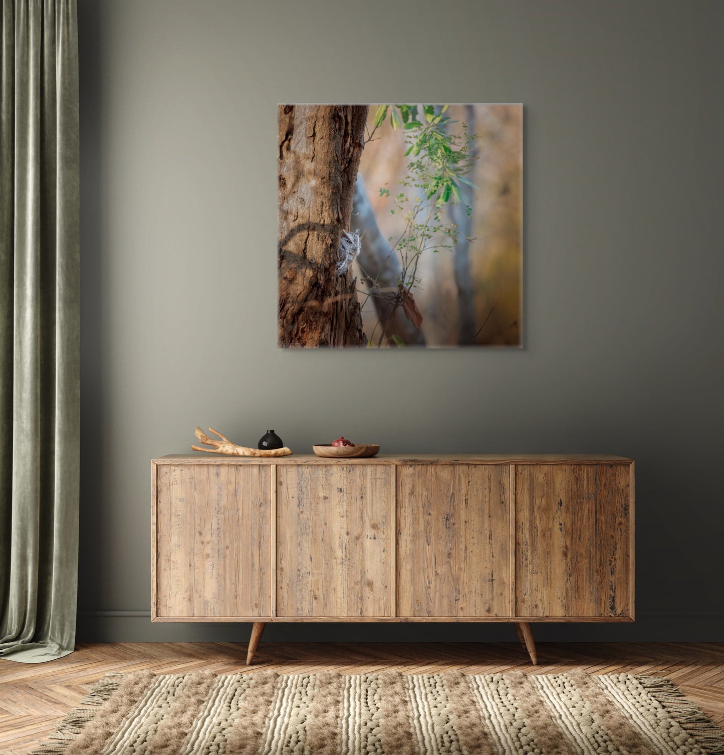 Pacific Screech | Canvas Print