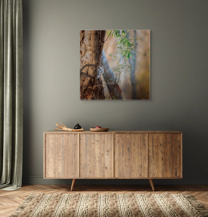 Pacific Screech | Canvas Print