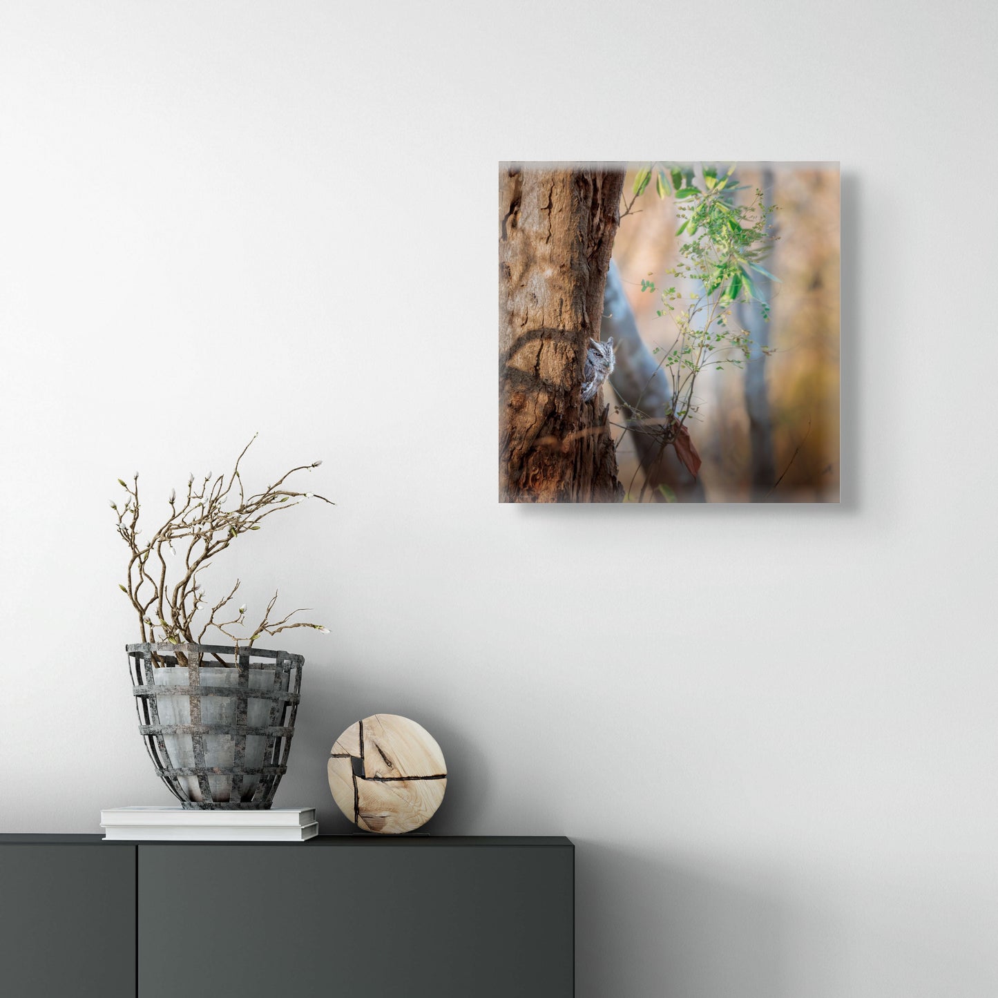 Pacific Screech | Canvas Print