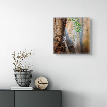 Pacific Screech | Canvas Print