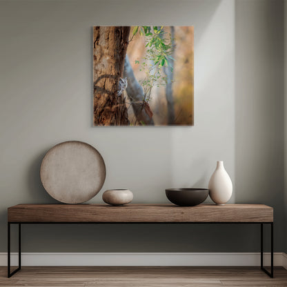 Pacific Screech | Canvas Print