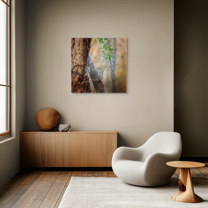 Pacific Screech | Canvas Print