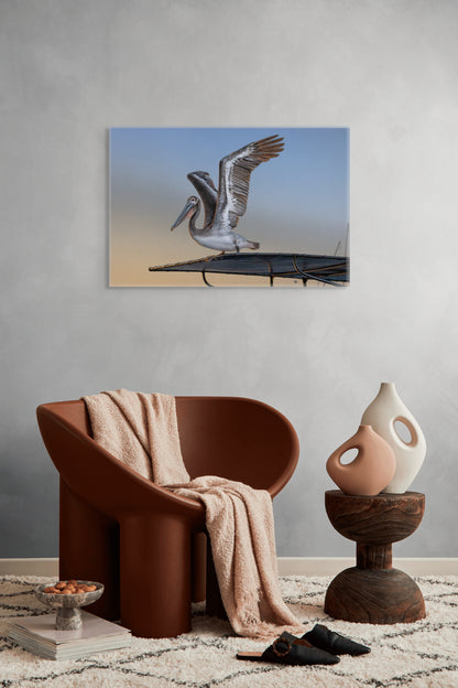 Coastal Pelican | Canvas Print