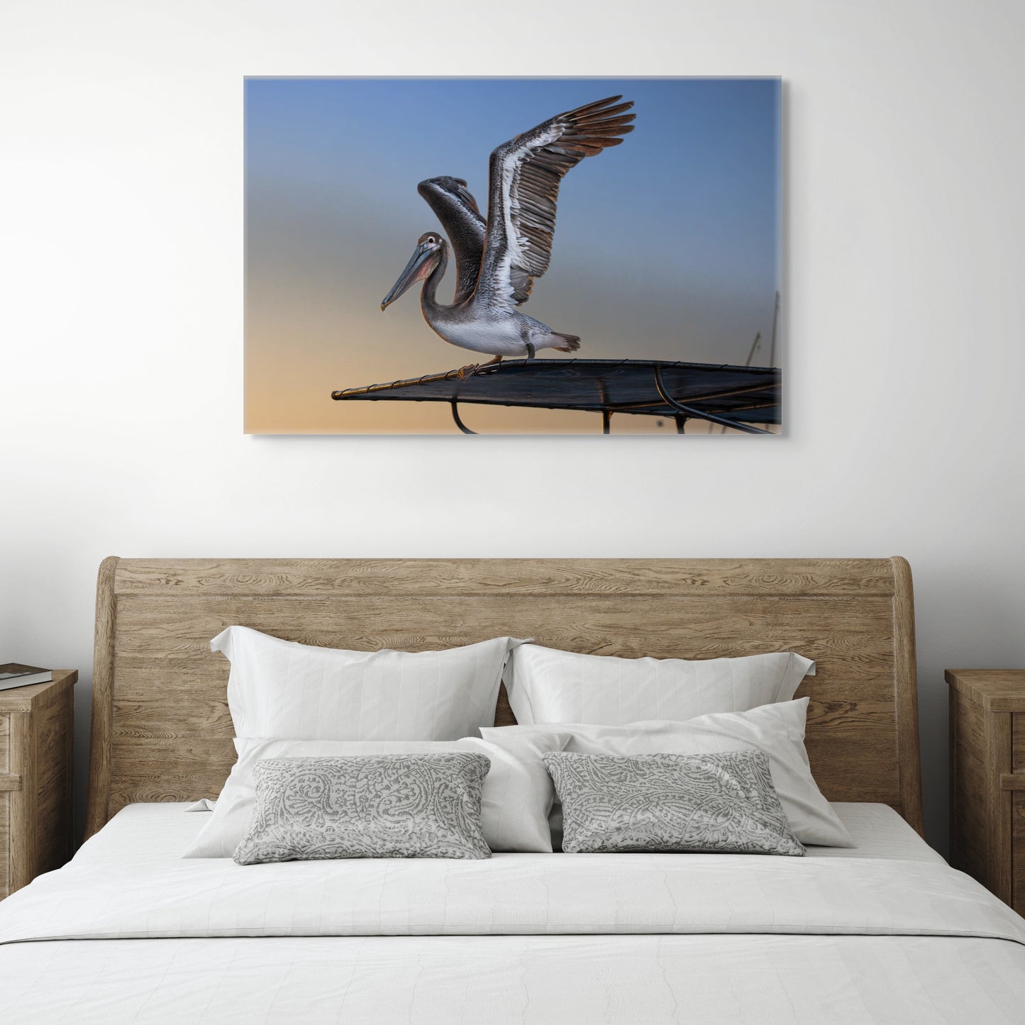 Coastal Pelican | Canvas Print
