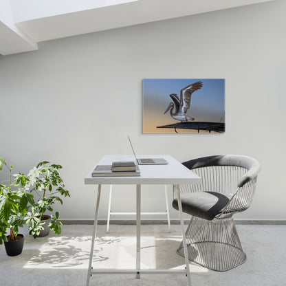 Coastal Pelican | Canvas Print