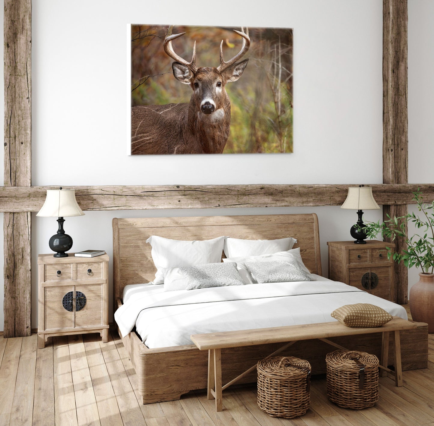 Woodland Buck | Canvas Print