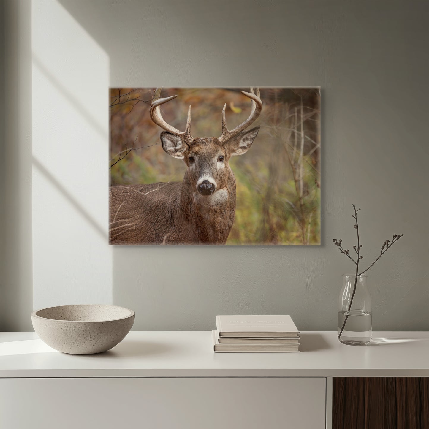 Woodland Buck | Canvas Print