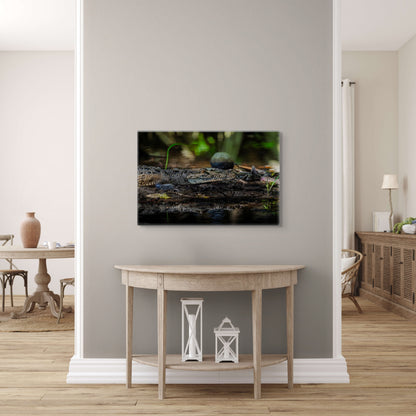Oaxacroc | Canvas Print
