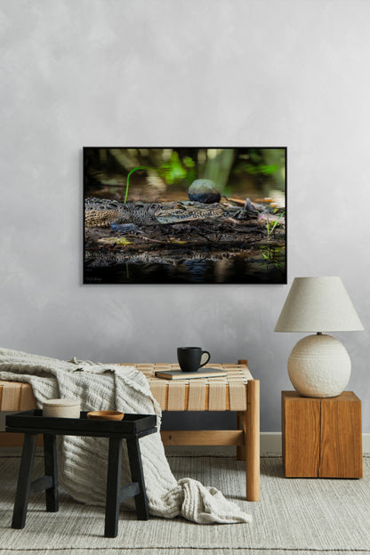 Oaxacroc | Canvas Print