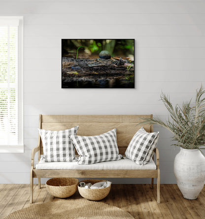 Oaxacroc | Canvas Print