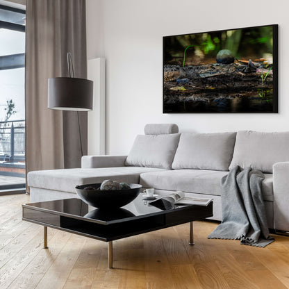 Oaxacroc | Canvas Print