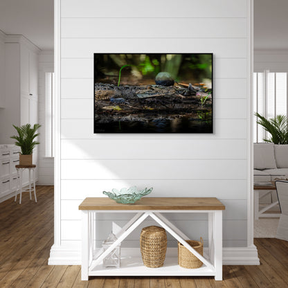 Oaxacroc | Canvas Print