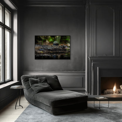 Oaxacroc | Canvas Print