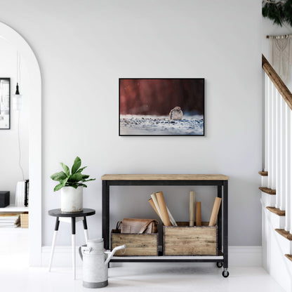 Dove | Black Framed Canvas