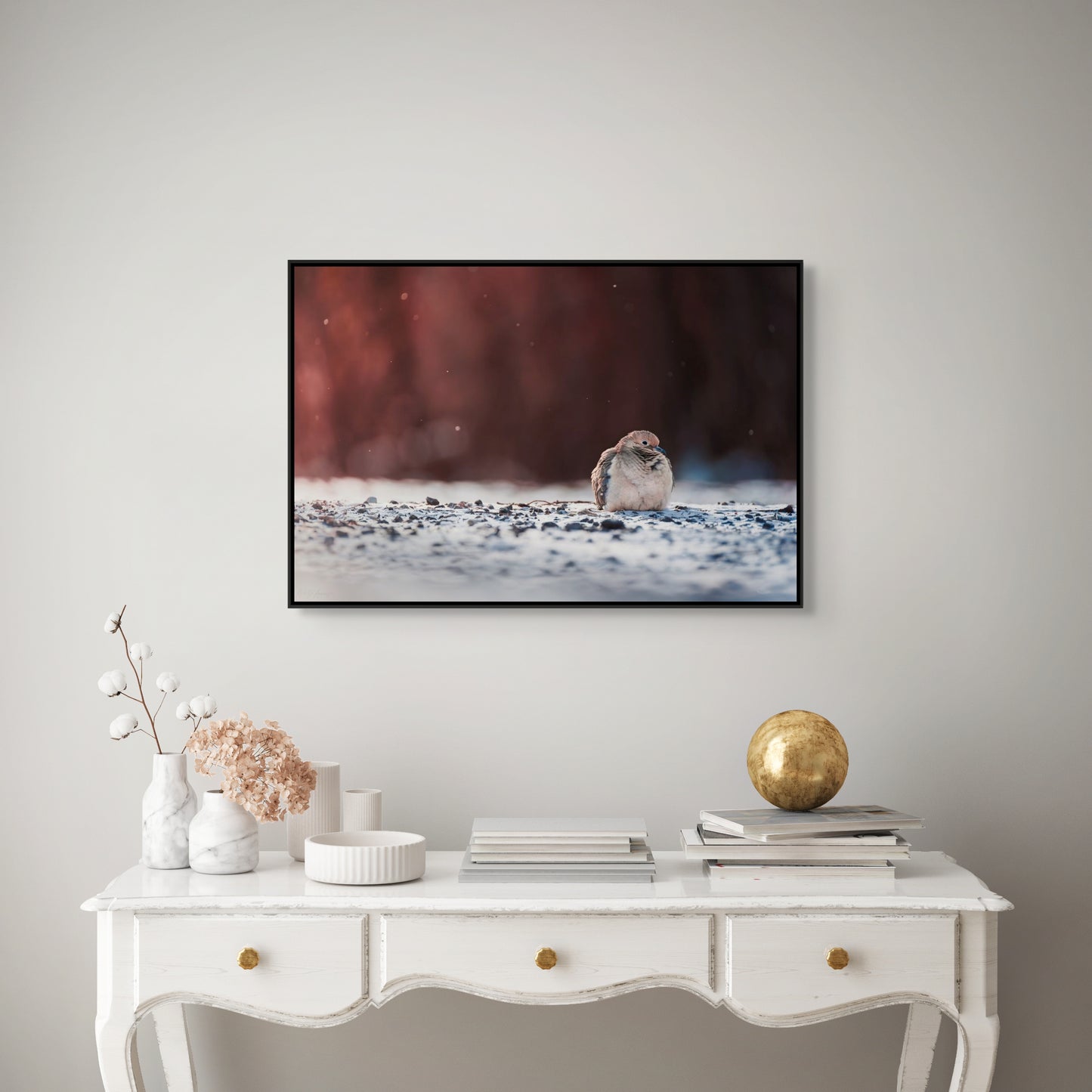 Dove | Black Framed Canvas