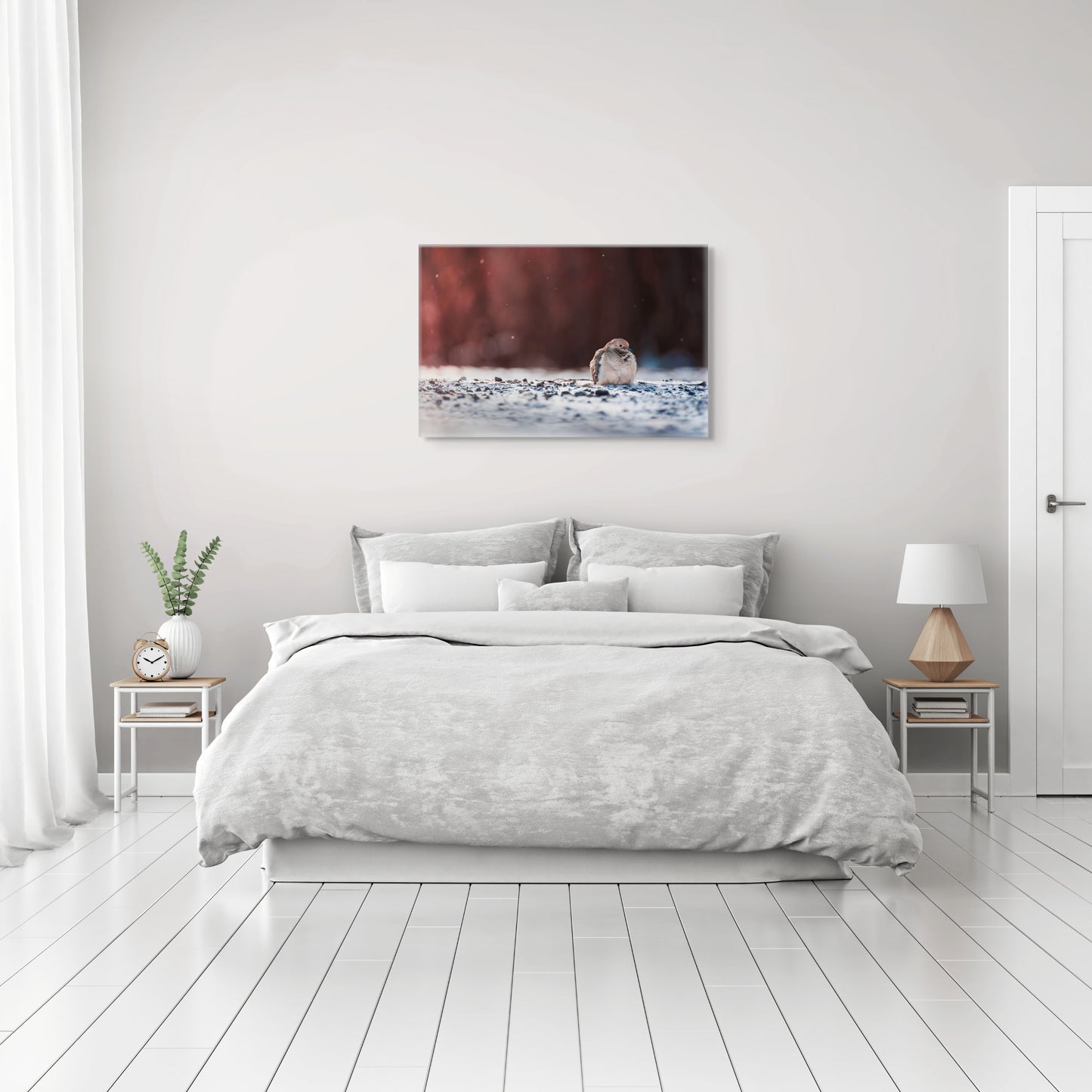 Dove | Canvas Print