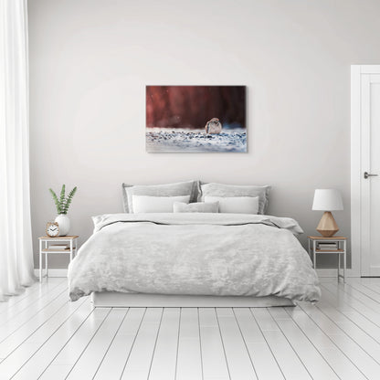 Dove | Canvas Print