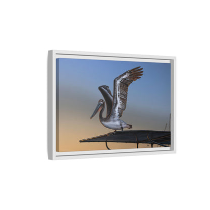 Coastal Pelican | Framed Canvas