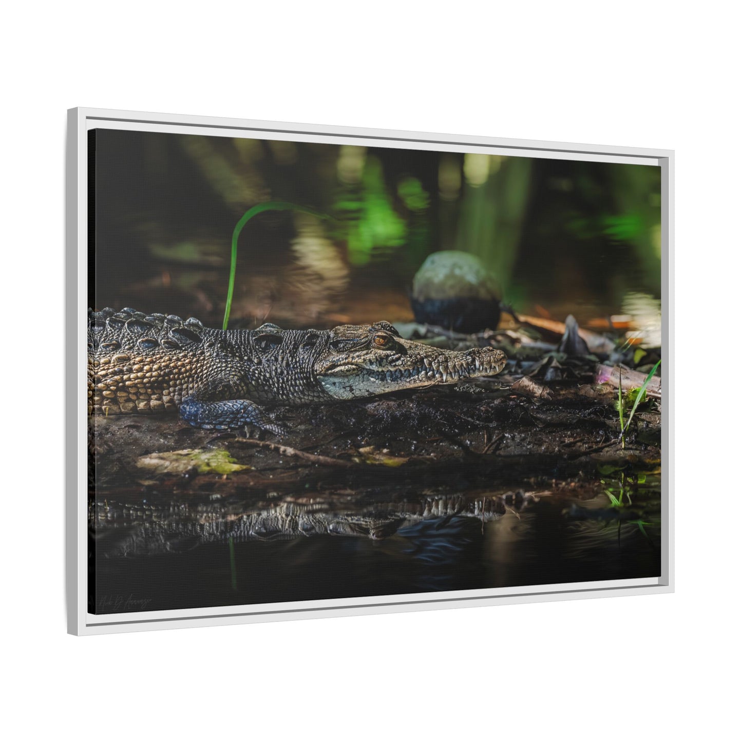 Oaxacroc | Framed Canvas