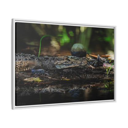 Oaxacroc | Framed Canvas