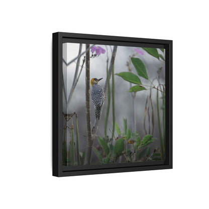 Golden Cheek | Framed Canvas