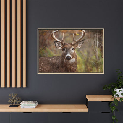 Woodland Buck | Framed Canvas