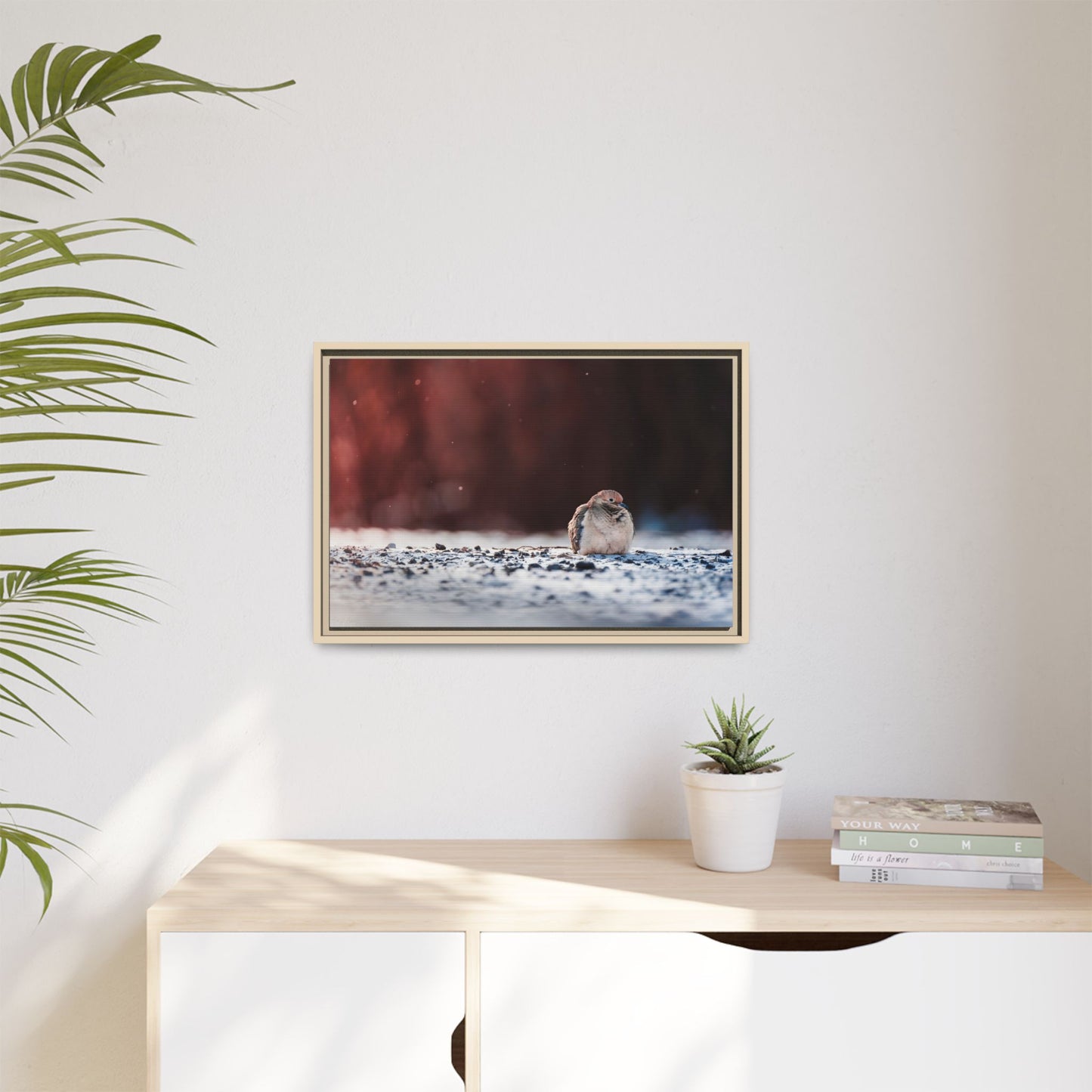 Dove | Framed Canvas