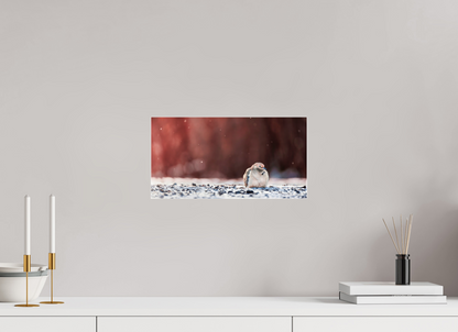 38.2 x 20 cm, Photo Print Under Acrylic Glass 4 mm, Glossy Dove | Acrylic Glass Fine Art Print