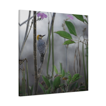 Golden Cheek | Canvas Print