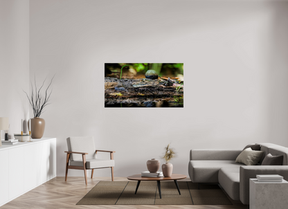 144 x 81 cm, Photo Print Under Acrylic Glass 4 mm, Glossy Oaxacroc | Acrylic Glass Fine Art Print