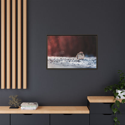 Dove | Framed Canvas