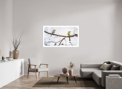 144 x 81 cm, Fine Art Paper (Hahnemühle Photo Rag 308) Twin Motmots | Acrylic Glass Fine Art Print