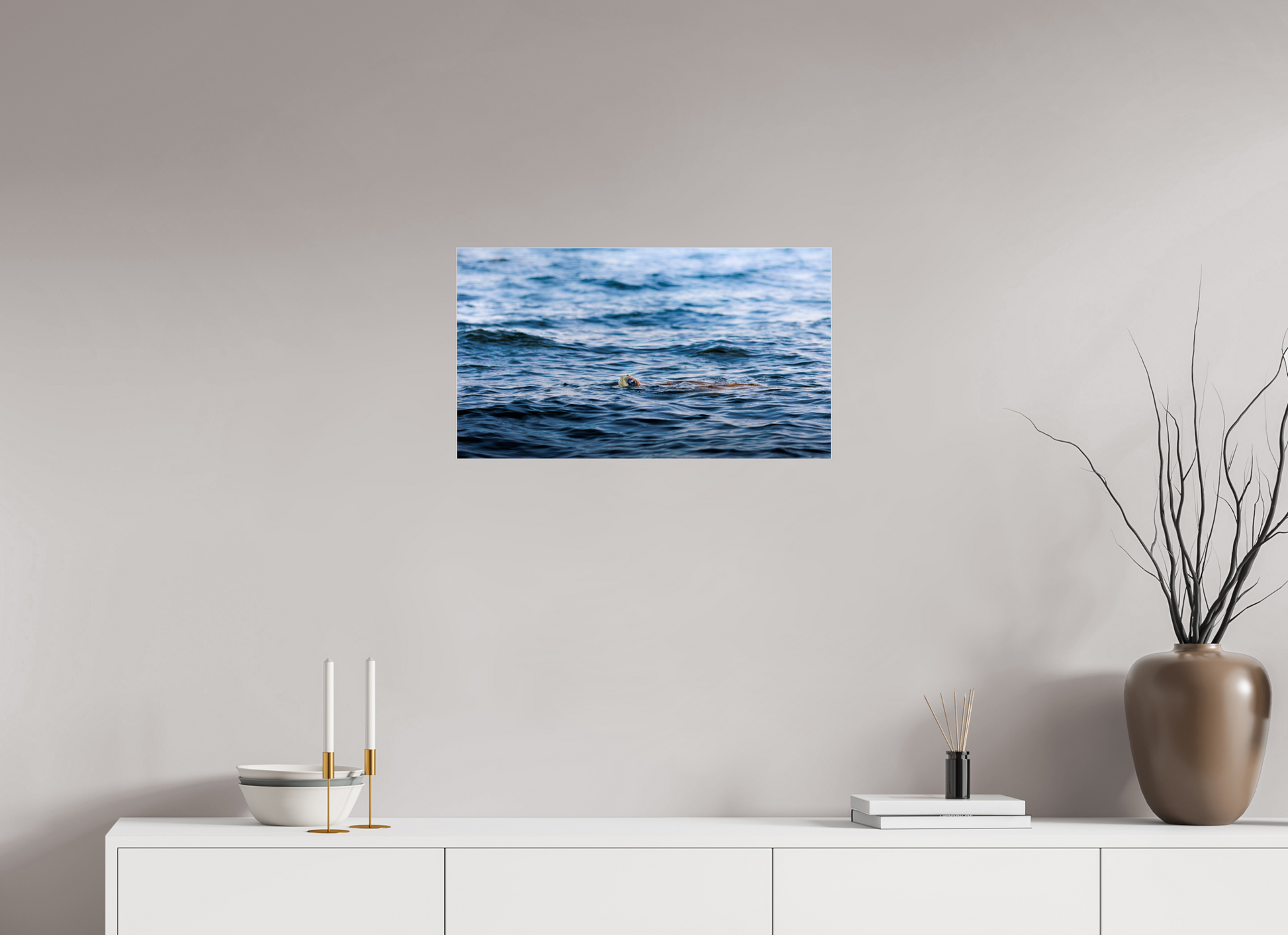 64 x 36 cm, Photo Print Under Acrylic Glass 4 mm, Glossy RIDLEY TORTUGA