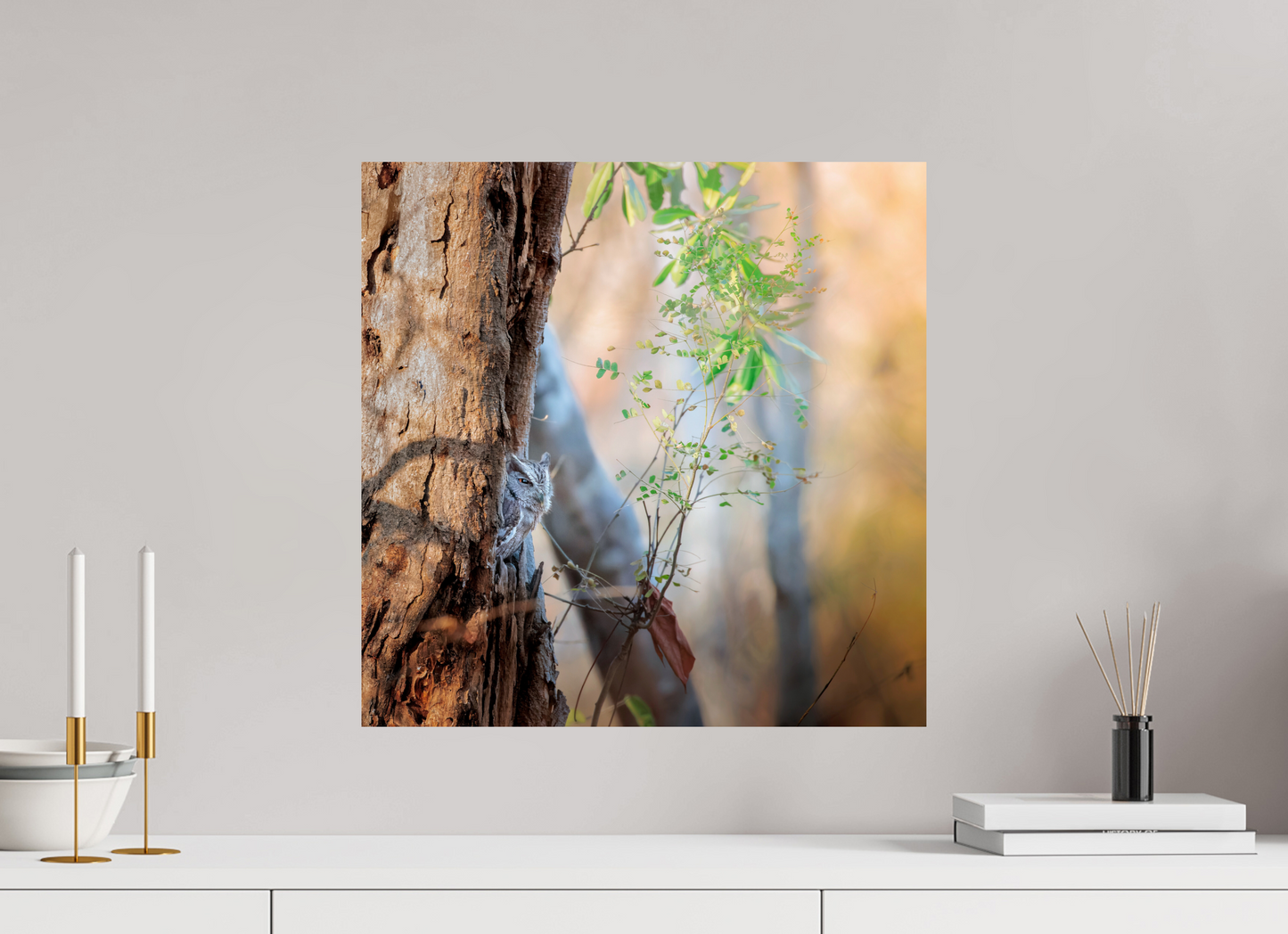 50 x 50 cm, Photo Print on Fuji Crystal DP II, Glossy PACIFIC SCREECH