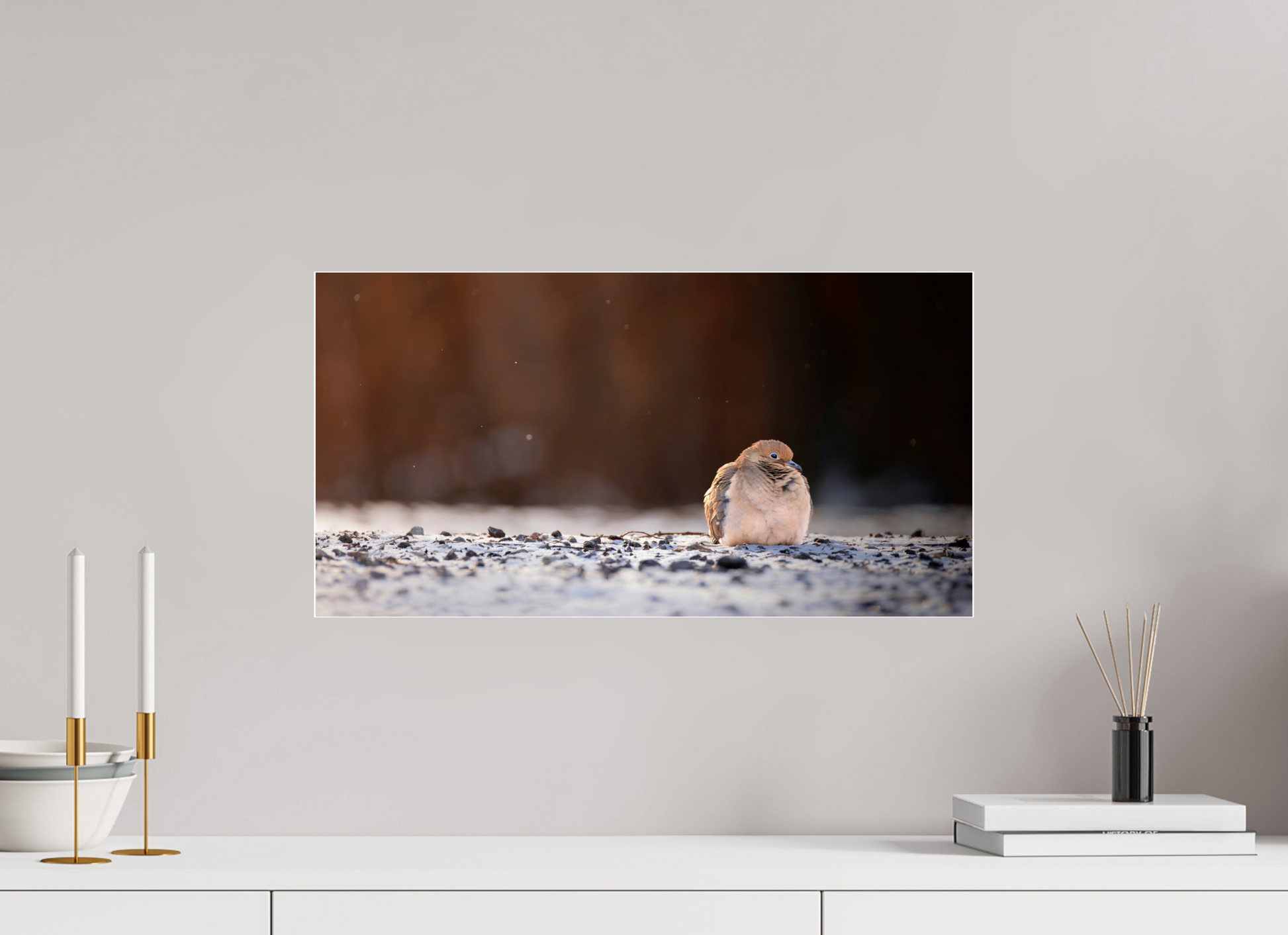 57.3 x 30 cm, Photo Print Under Acrylic Glass 4 mm, Glossy DOVE