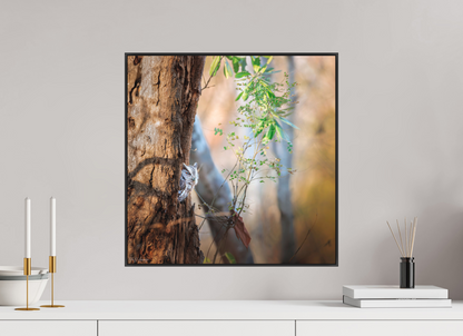50 x 50 cm, Photo Print Under Acrylic Glass 2mm, Matte, Aluminum ArtBox, 25mm (Black) Pacific Screech | Acrylic Glass Fine Art Print
