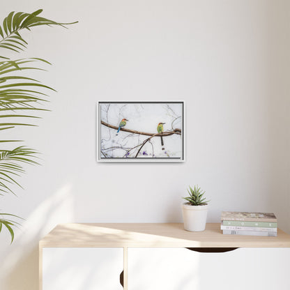 Twin Motmot | Framed Canvas