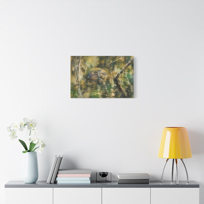 Painted Turtle Light Abstract Canvas Print