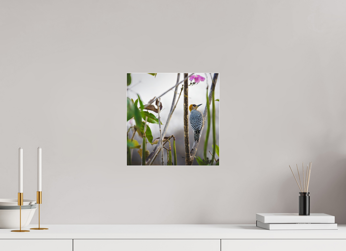 30 x 30 cm, Photo Print Under Acrylic Glass 4 mm, Glossy Golden Cheek