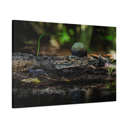 Oaxacroc | Canvas Print