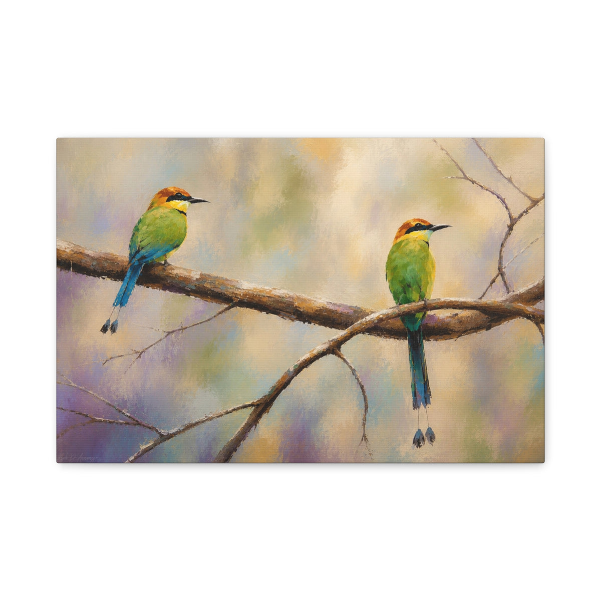 Twin Motmot Abstract Canvas Print
