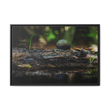 Oaxacroc | Framed Canvas