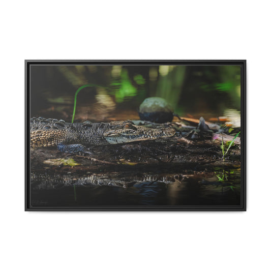 Oaxacroc | Framed Canvas