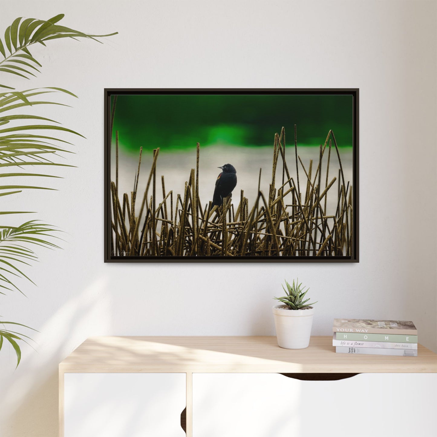 Blackbird | Framed Canvas