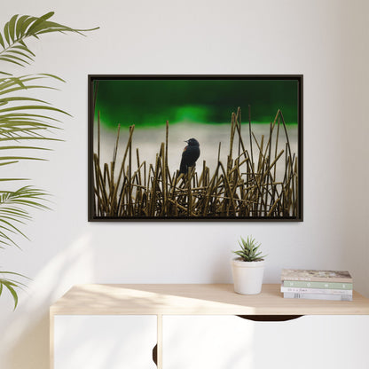 Blackbird | Framed Canvas