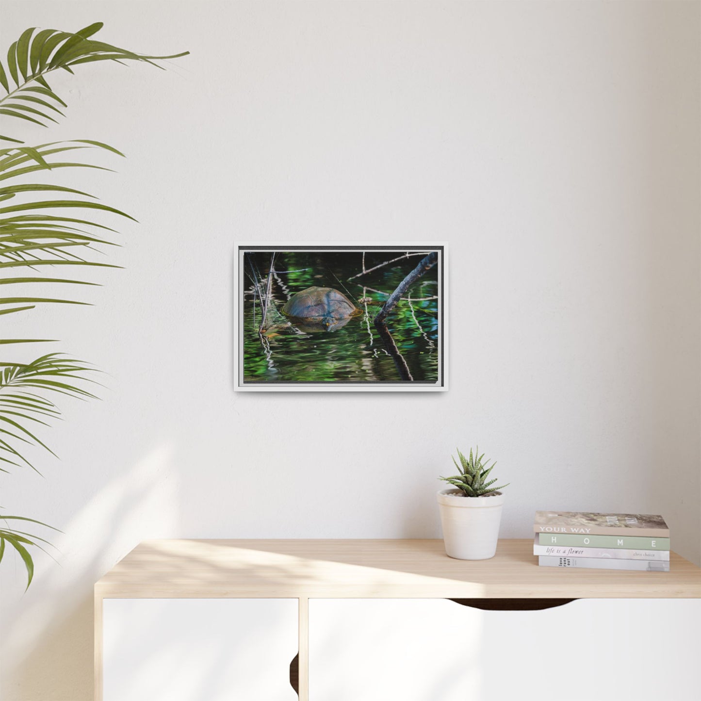 Untitled (Painted Turtle) | Framed Canvas