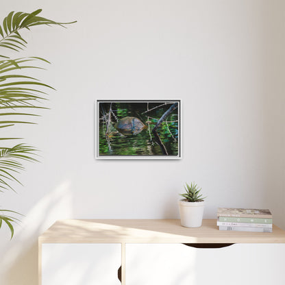 Untitled (Painted Turtle) | Framed Canvas